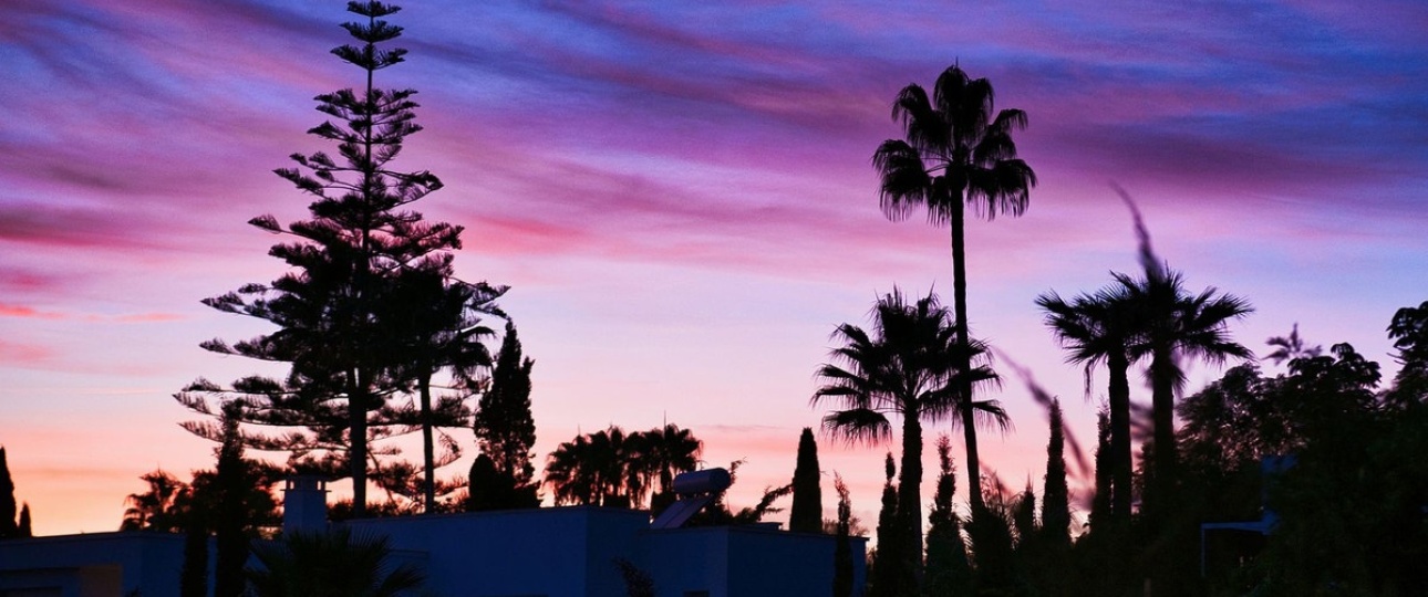 Resale - apartment - Marbella - Reserva de Marbella
