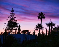 Resale - apartment - Marbella - Reserva de Marbella