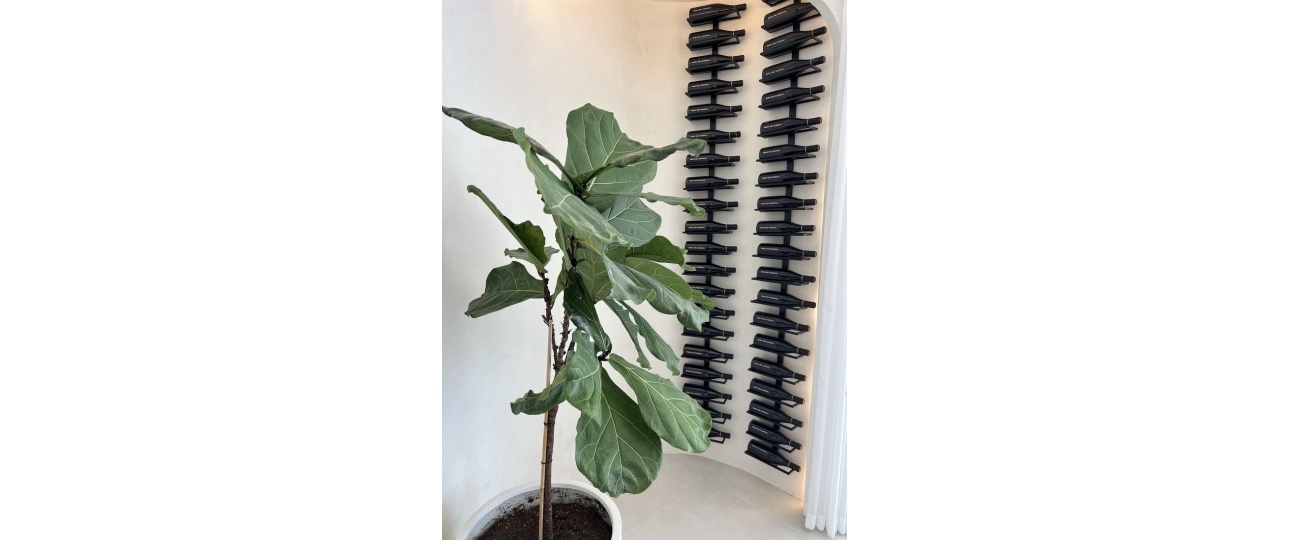 Resale - apartment - Marbella - The Golden Mile