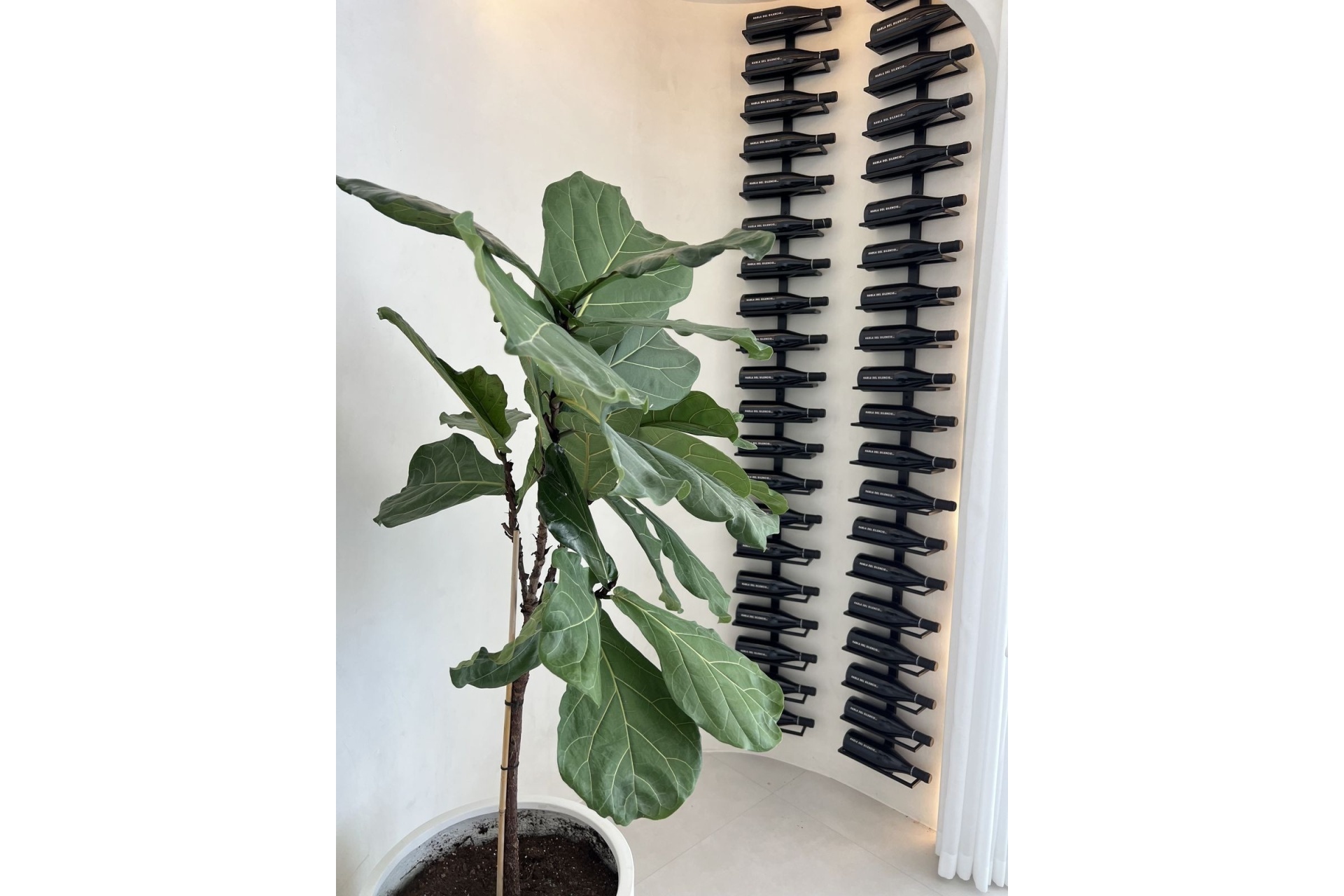 Resale - apartment - Marbella - The Golden Mile