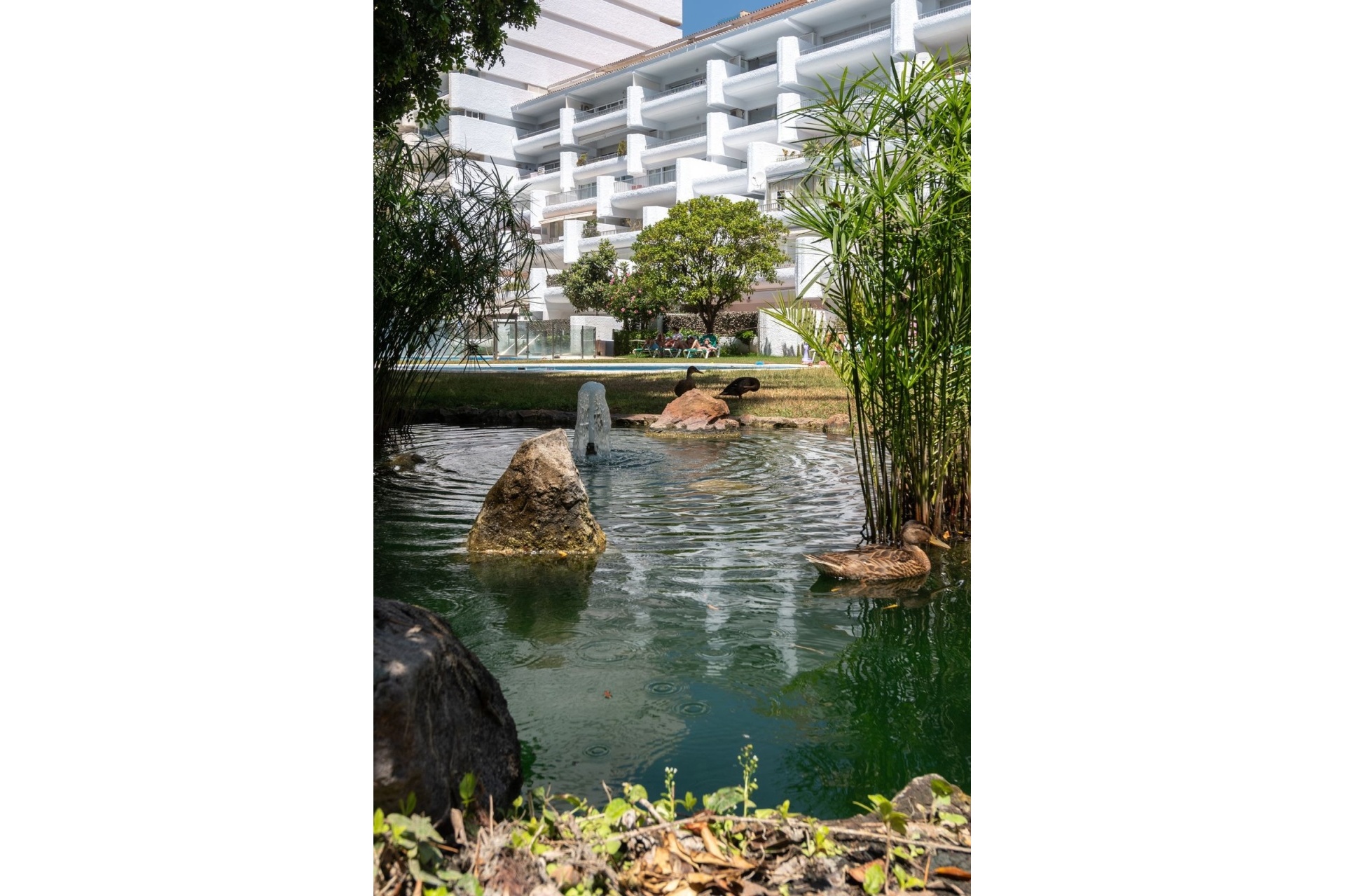 Resale - apartment - Marbella - The Golden Mile