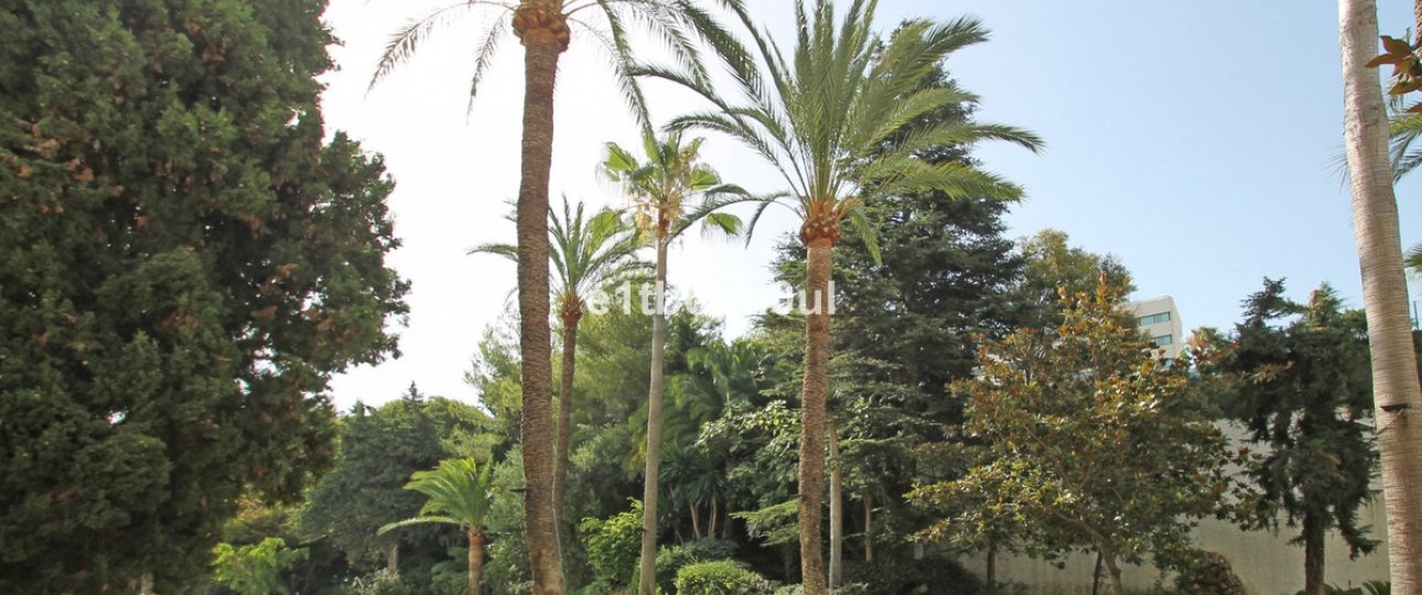 Resale - apartment - Marbella - The Golden Mile