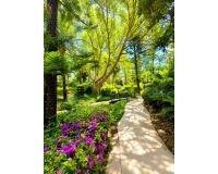 Resale - apartment - Marbella - The Golden Mile