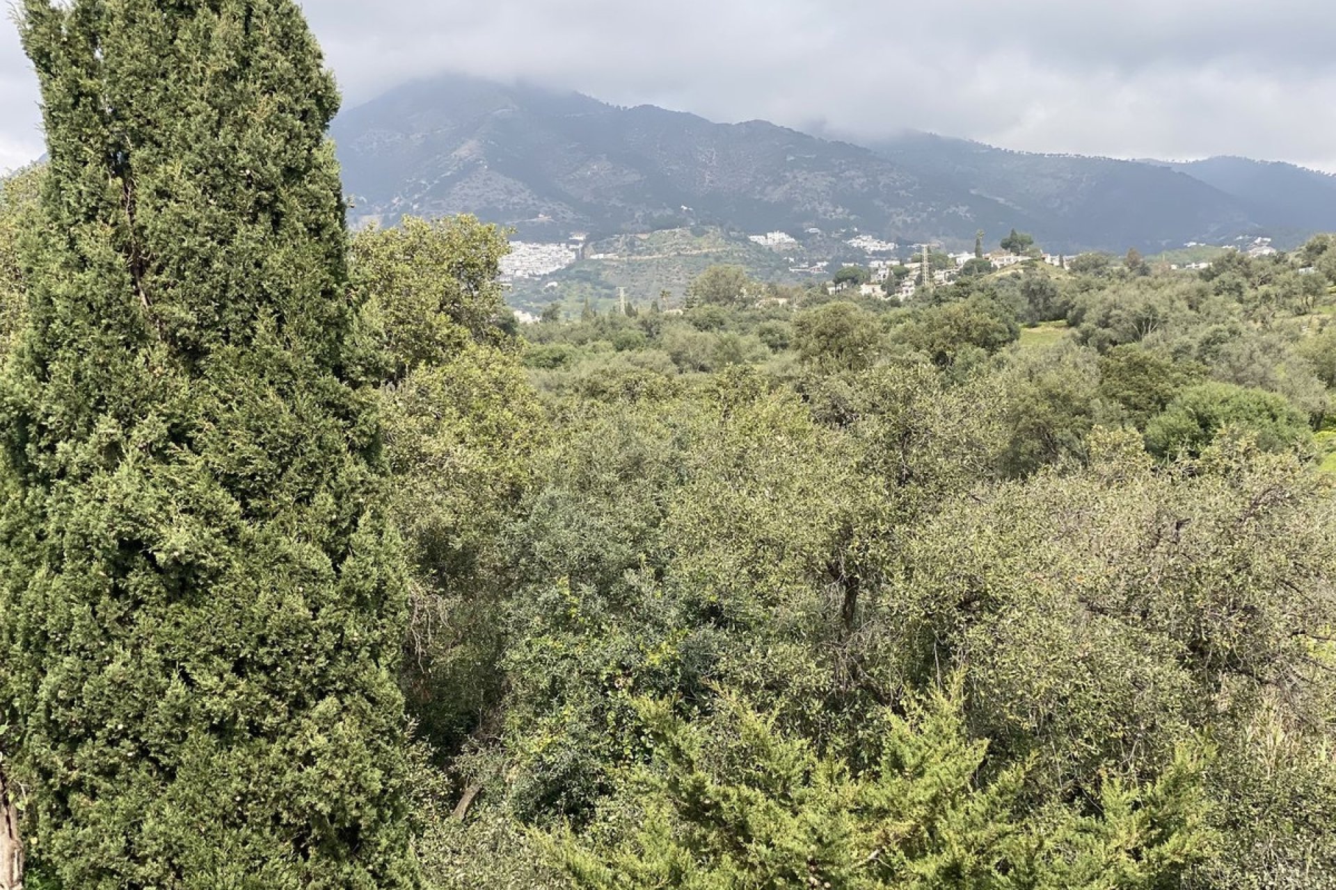 Resale - apartment - Mijas - Mijas Centro