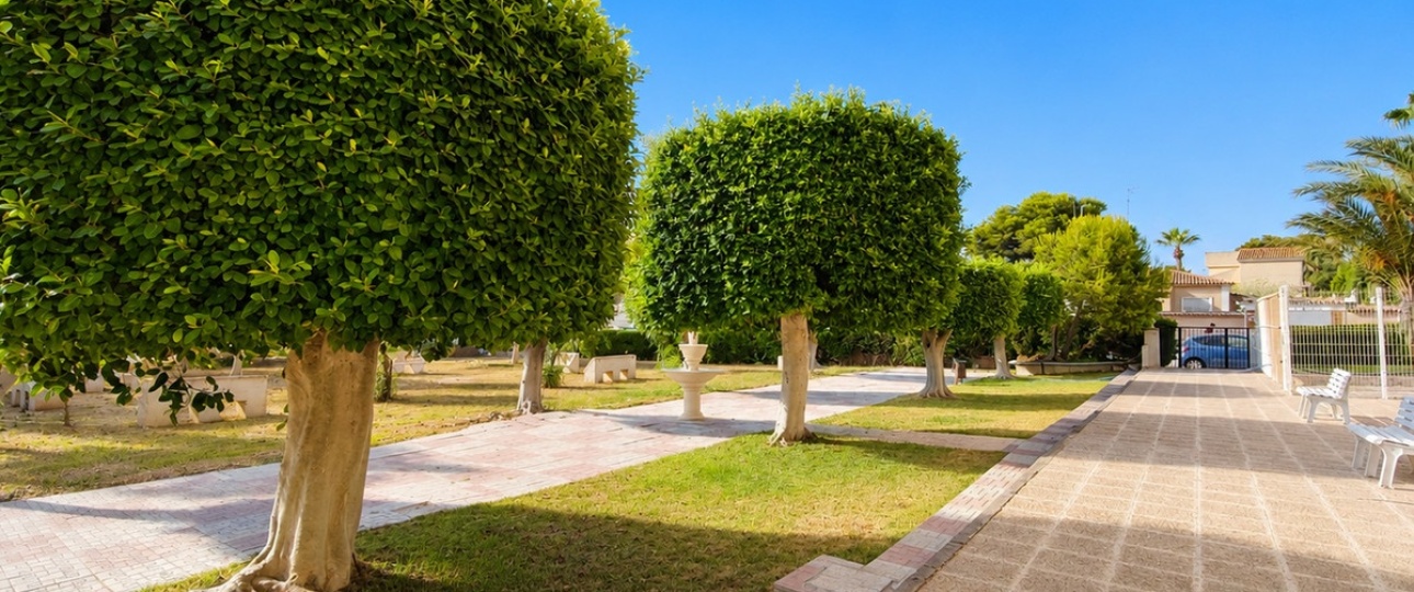 Resale - apartment - Orihuela - La Zenia