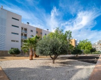 Resale - apartment - Orihuela - Los Dolses