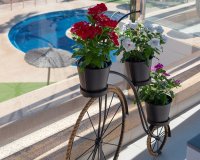 Resale - apartment - Orihuela - Mil Palmeras