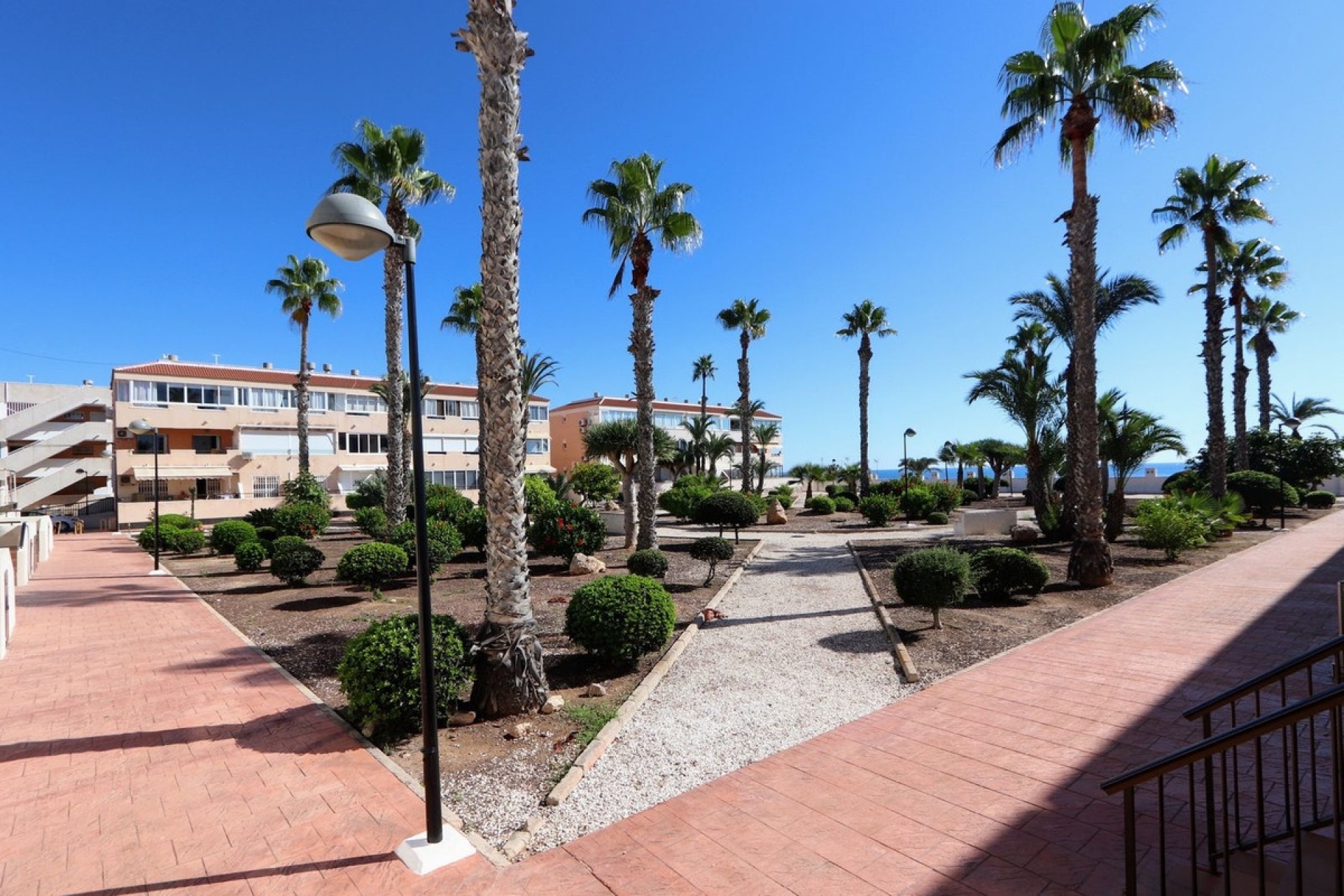 Resale - apartment - Orihuela - Mil Palmeras