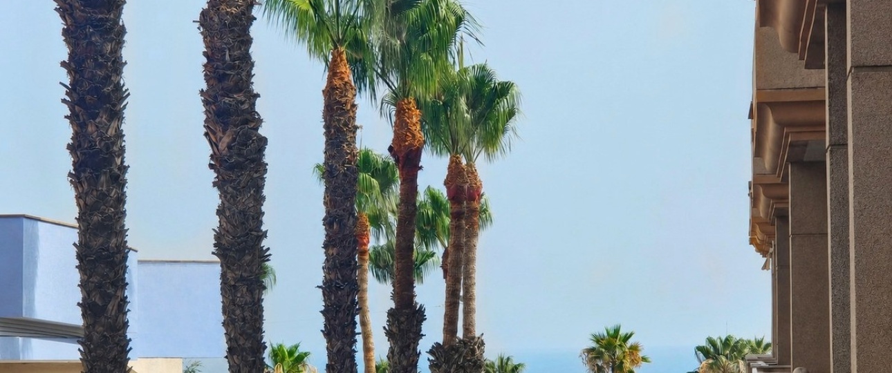Resale - apartment - Orihuela - Orihuela Costa