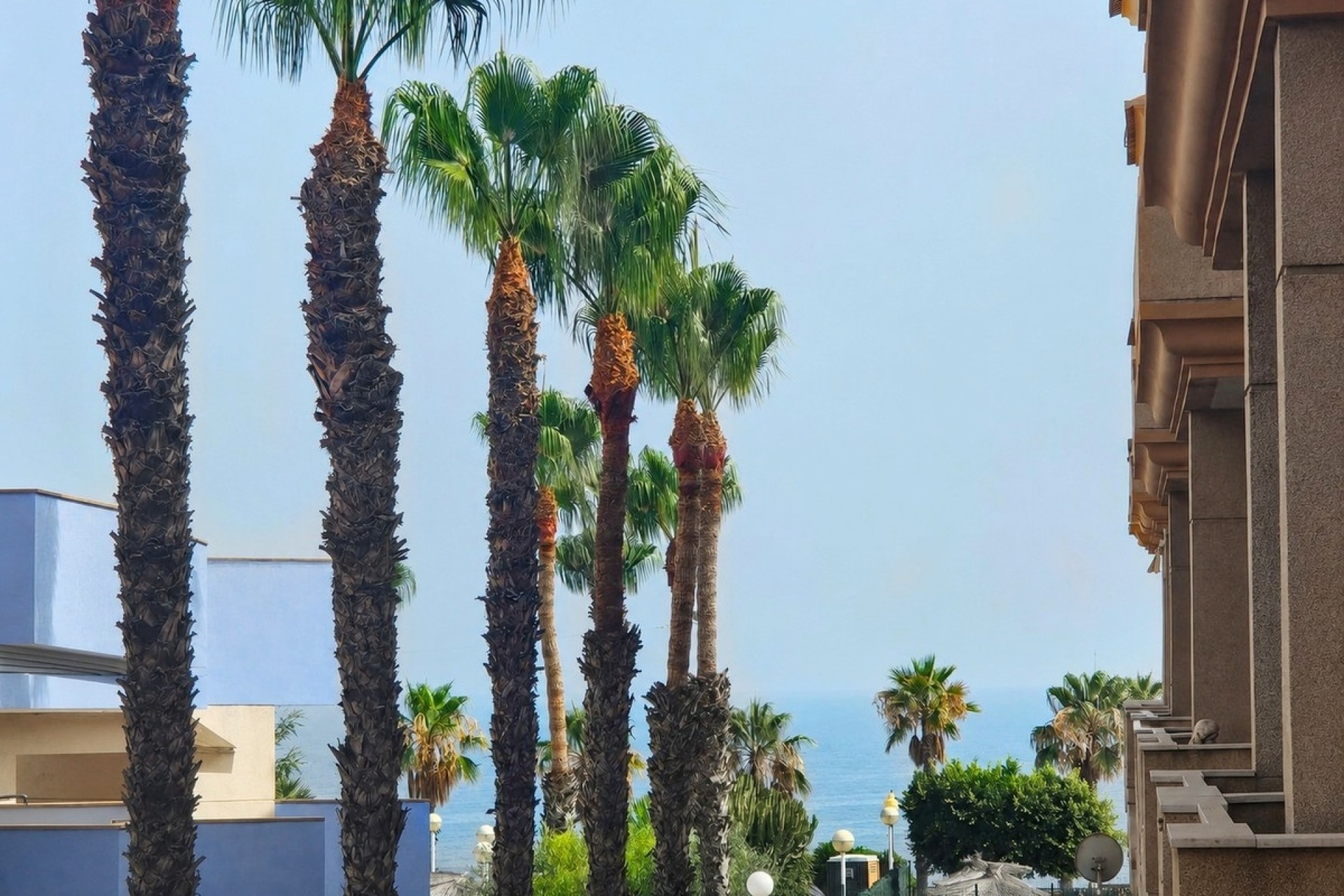 Resale - apartment - Orihuela - Orihuela Costa