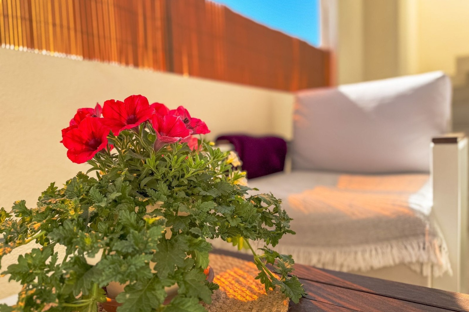 Resale - apartment - Orihuela - Orihuela Costa