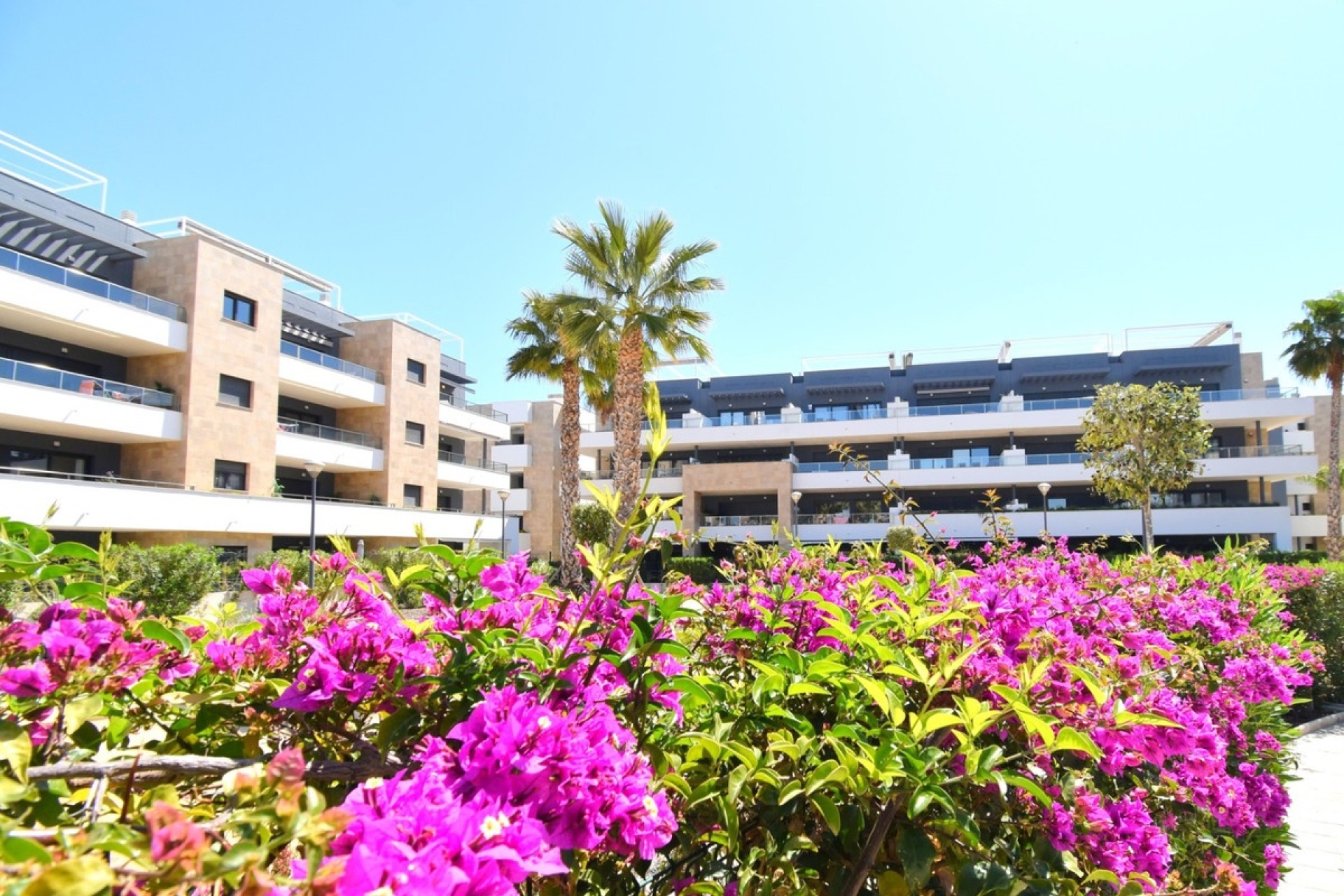 Resale - apartment - Orihuela - Playa Flamenca