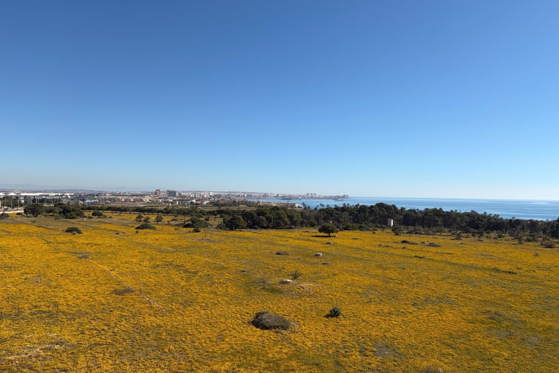 Resale - apartment - Orihuela - Punta Prima
