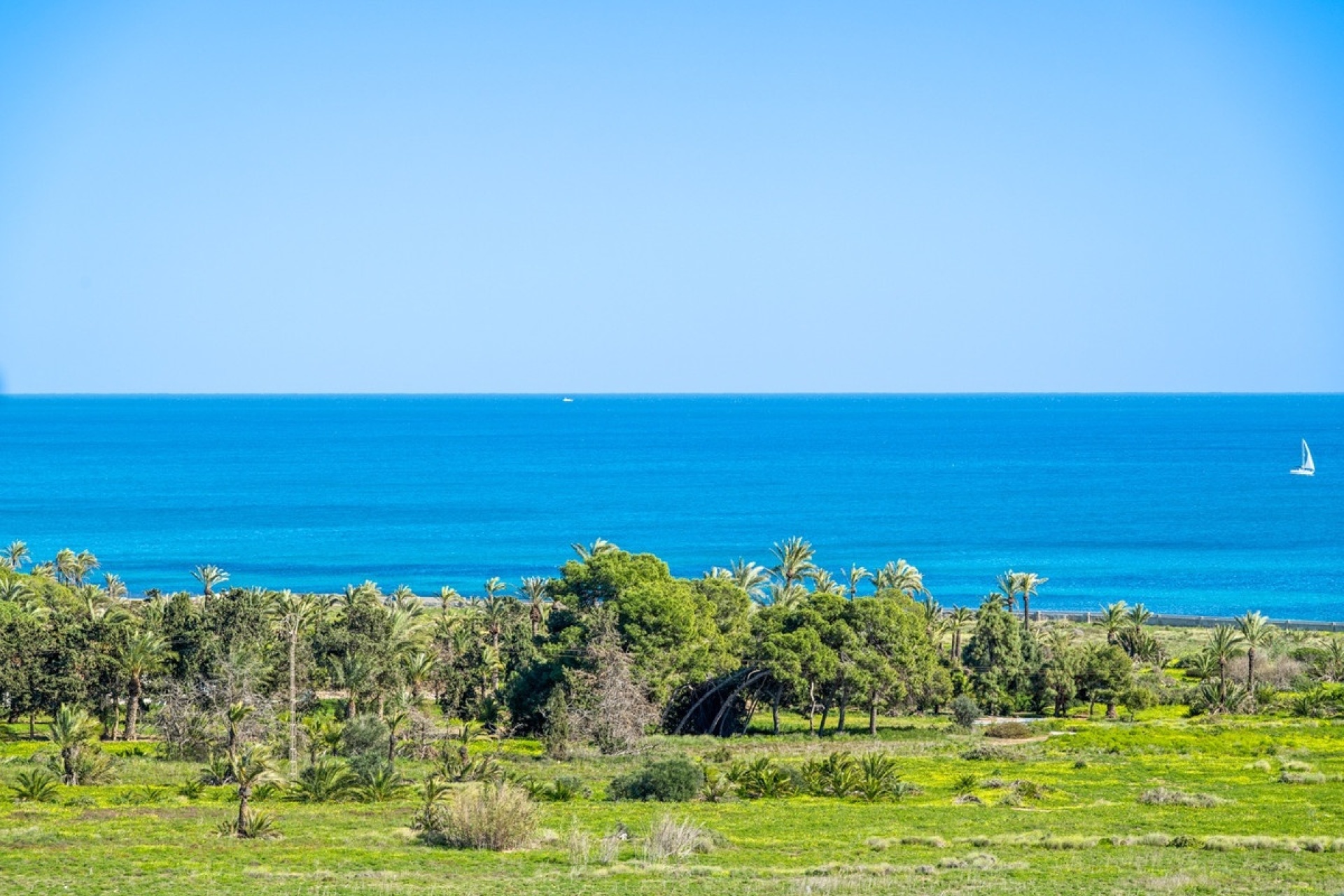 Resale - apartment - Orihuela - Punta Prima