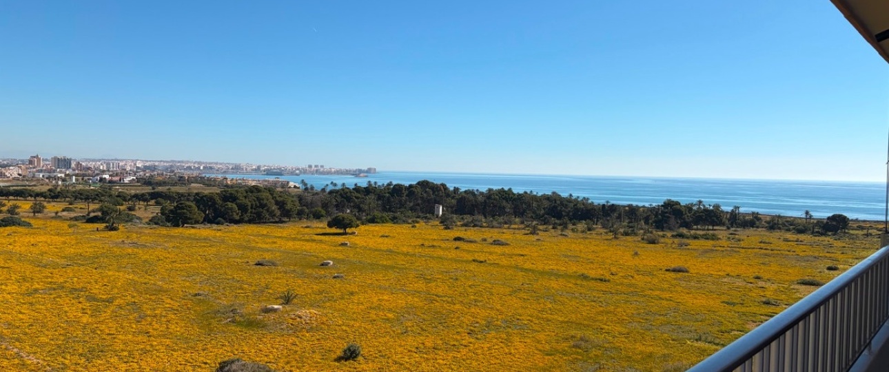 Resale - apartment - Orihuela - Punta Prima
