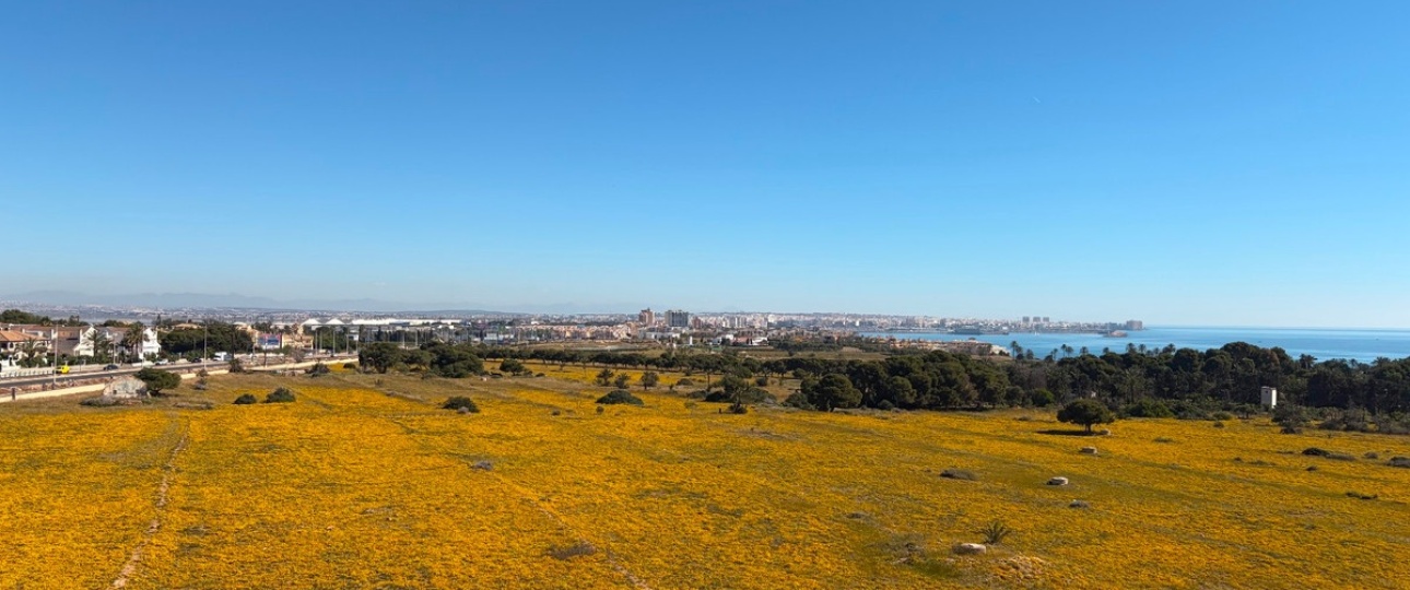 Resale - apartment - Orihuela - Punta Prima