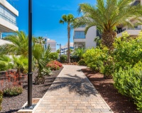 Resale - apartment - Orihuela - Villamartin