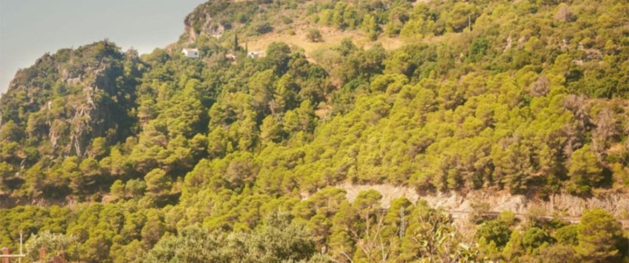 Resale - Country house - Casares - Casares Centro