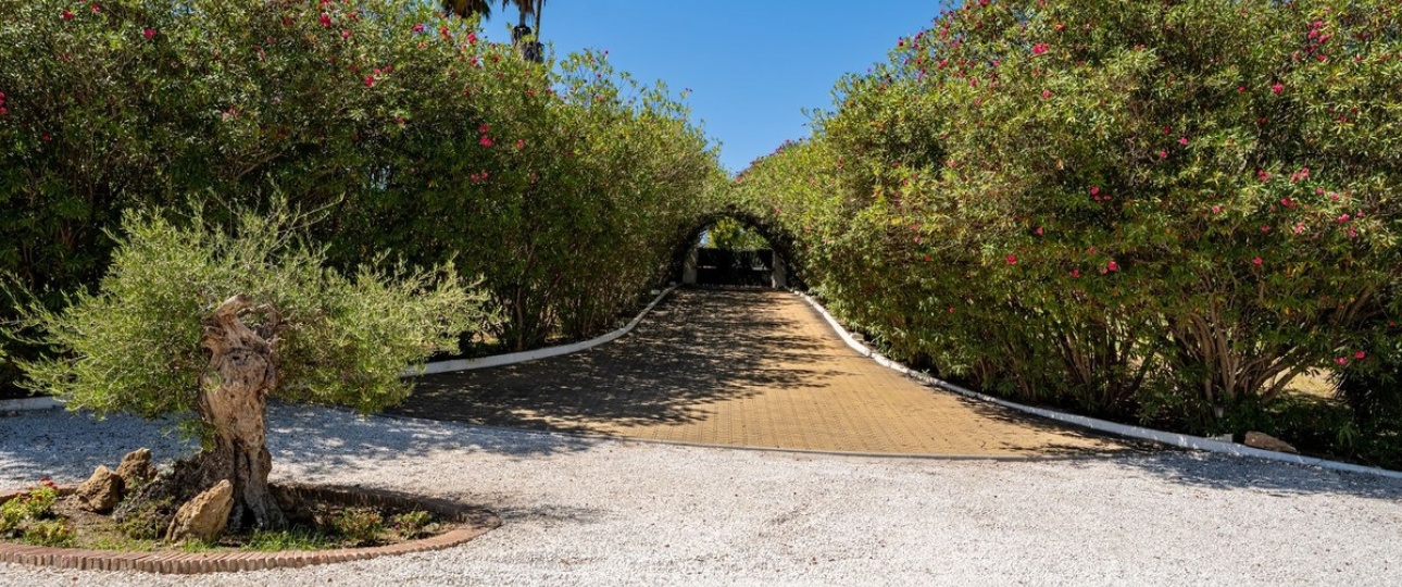 Resale - Country house - Estepona - Cancelada