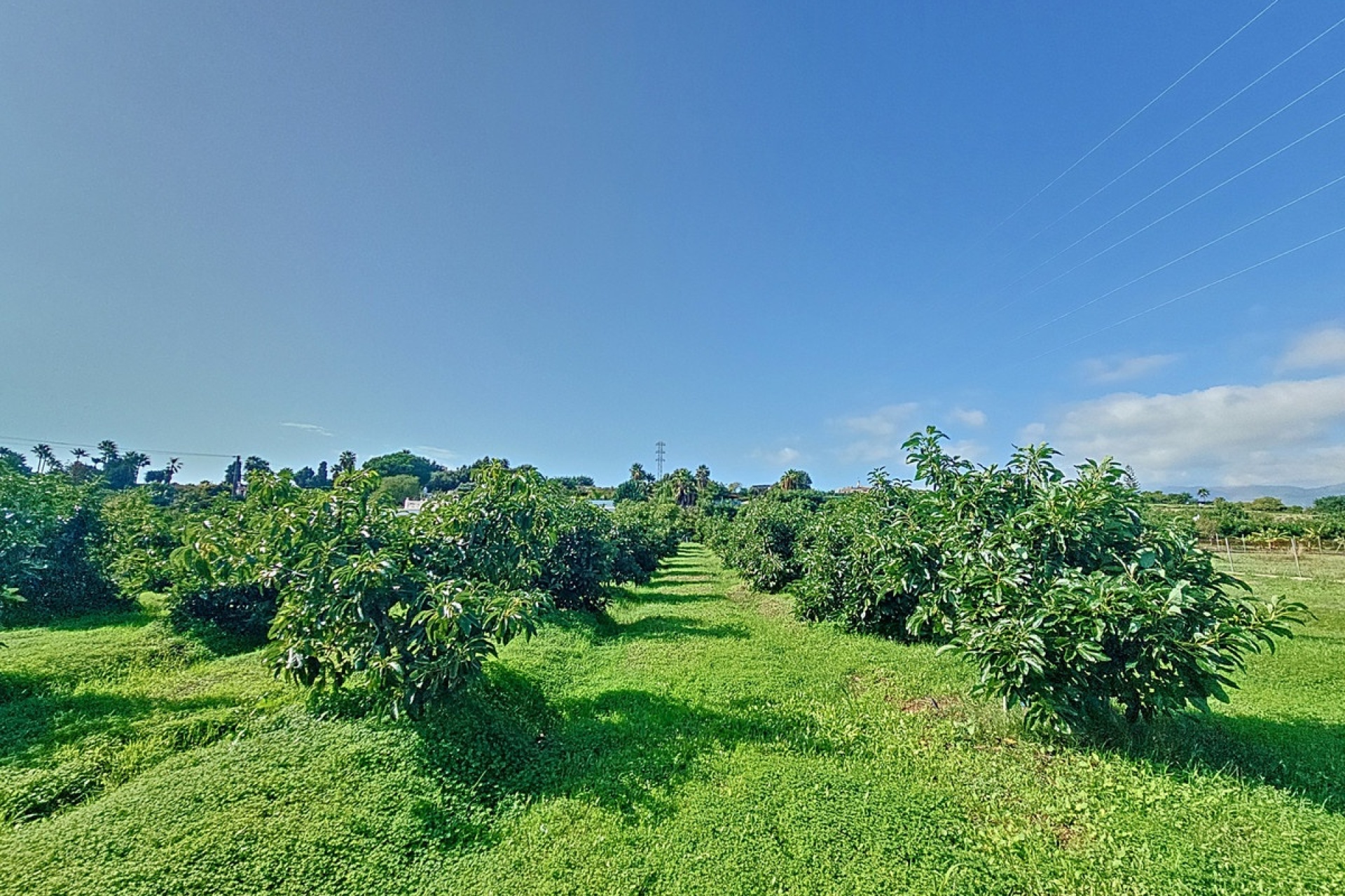 Resale - Country house - Estepona - El Padron