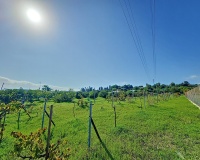 Resale - Country house - Estepona - El Padron