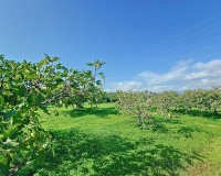 Resale - Country house - Estepona - El Padron