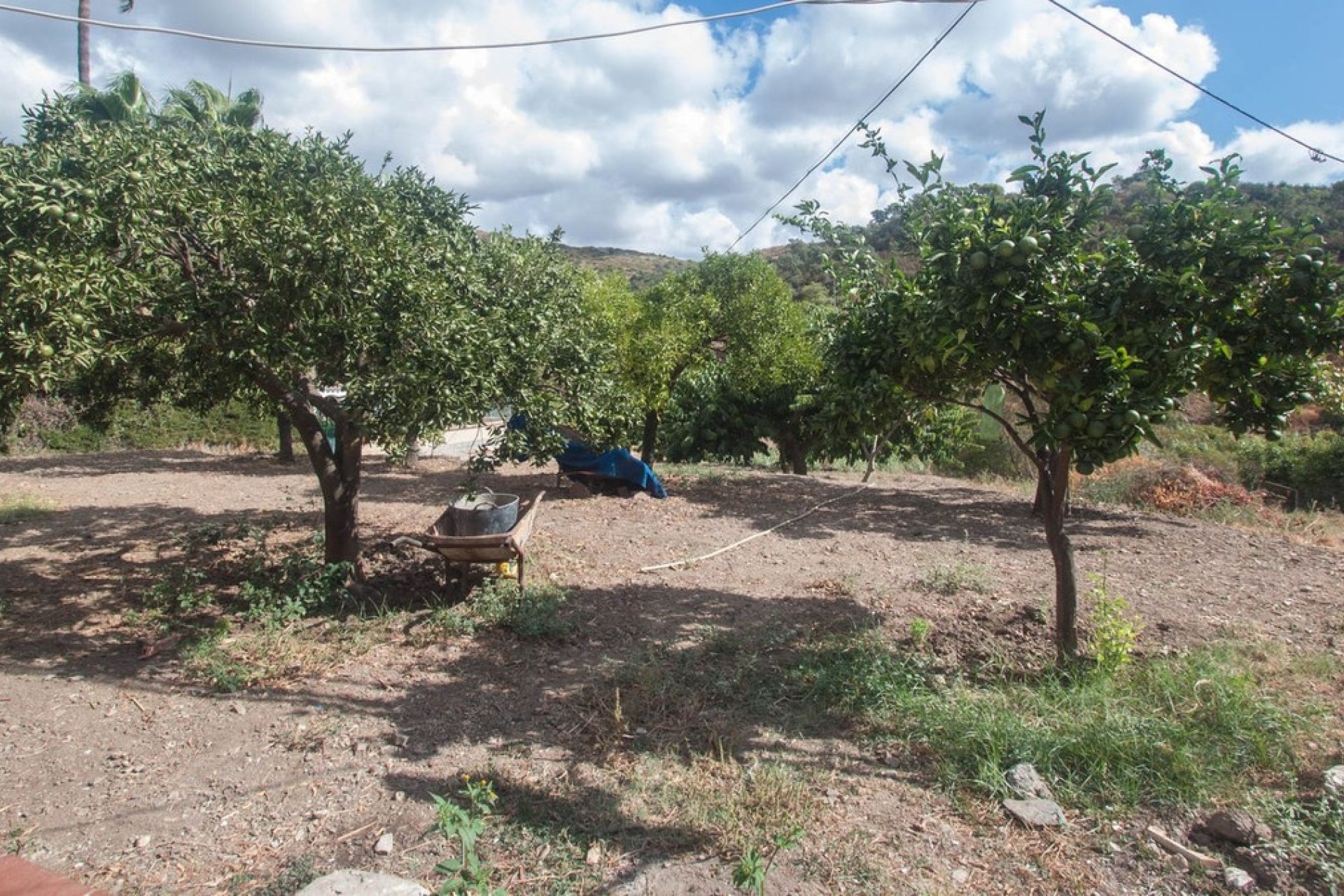 Resale - Country house - Estepona - Estepona Centro