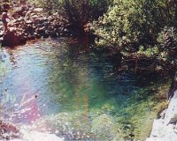 Resale - Country house - Estepona - Estepona Centro