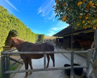 Resale - Country house - Estepona - Estepona Centro