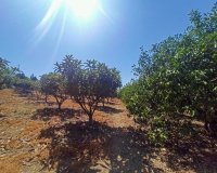 Resale - Country house - Estepona - Estepona Centro