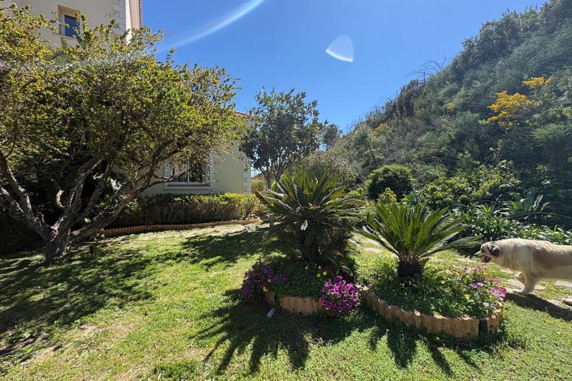 Resale - Country house - Estepona - Estepona Centro