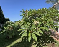 Resale - Country house - Estepona - Estepona Centro