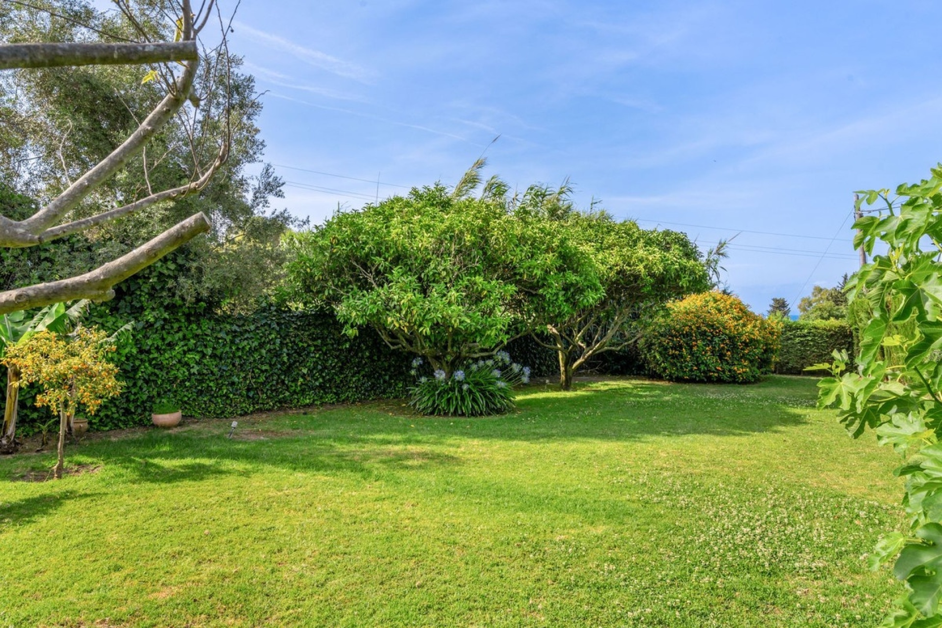 Resale - Country house - Estepona - Estepona Centro