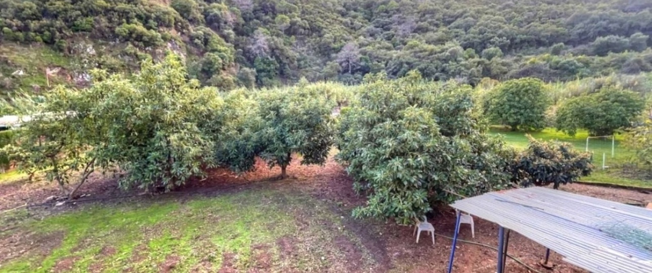 Resale - Country house - Estepona - Estepona Centro