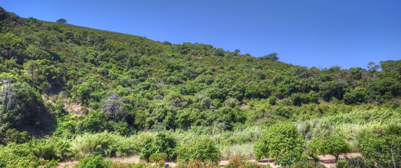 Resale - Country house - Estepona - Estepona Centro