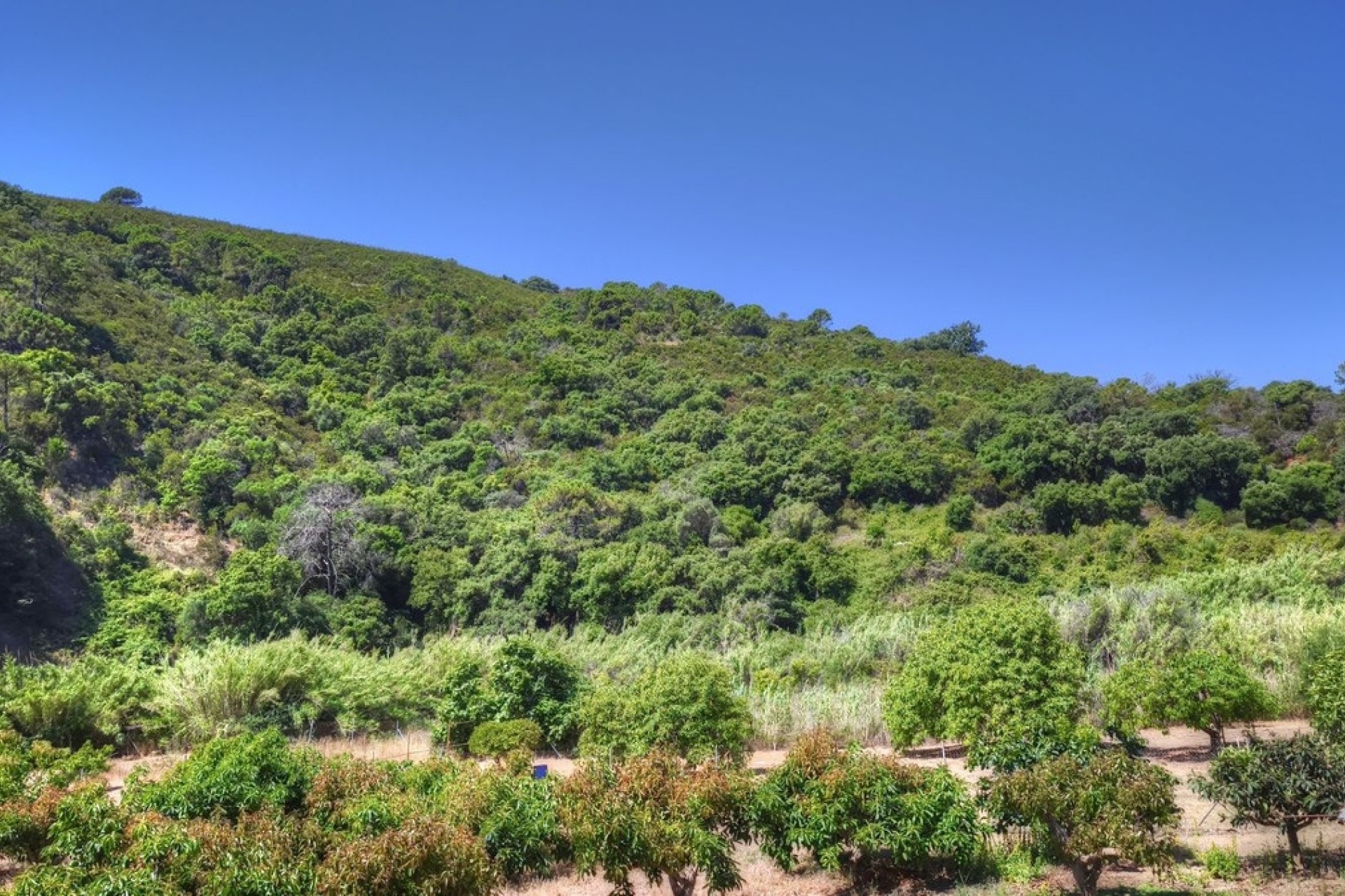 Resale - Country house - Estepona - Estepona Centro