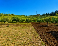 Resale - Country house - Estepona - Estepona Centro