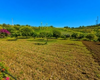 Resale - Country house - Estepona - Estepona Centro