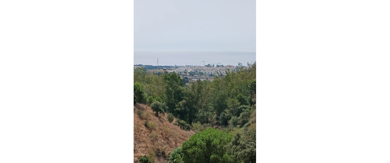 Resale - Country house - Estepona - Estepona Centro