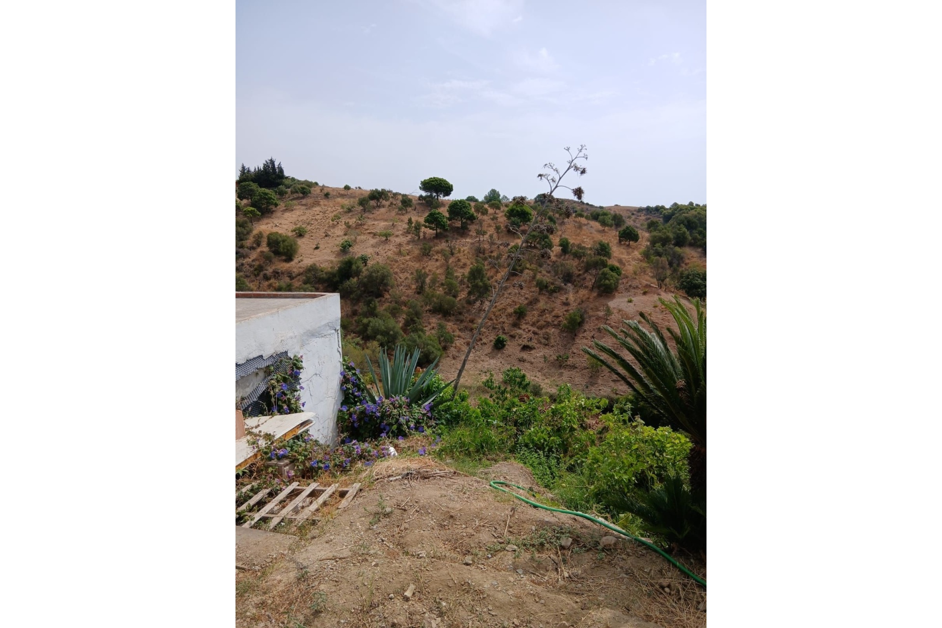 Resale - Country house - Estepona - Estepona Centro