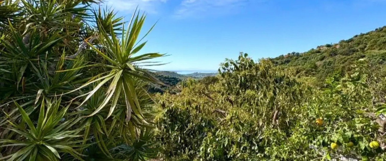 Resale - Country house - Estepona - Estepona Centro