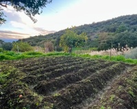Resale - Country house - Estepona - Estepona Centro