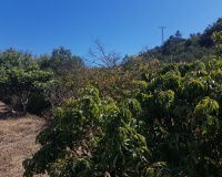 Resale - Country house - Estepona - Estepona Centro