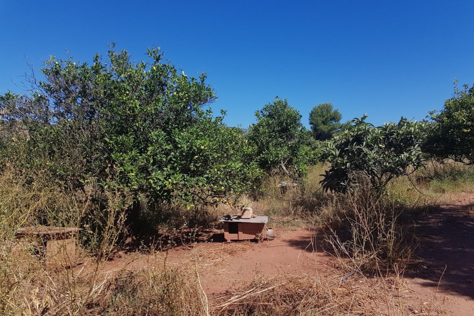 Resale - Country house - Estepona - Estepona Centro