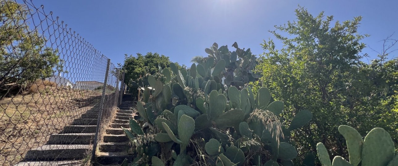 Resale - Country house - Estepona - Estepona Centro