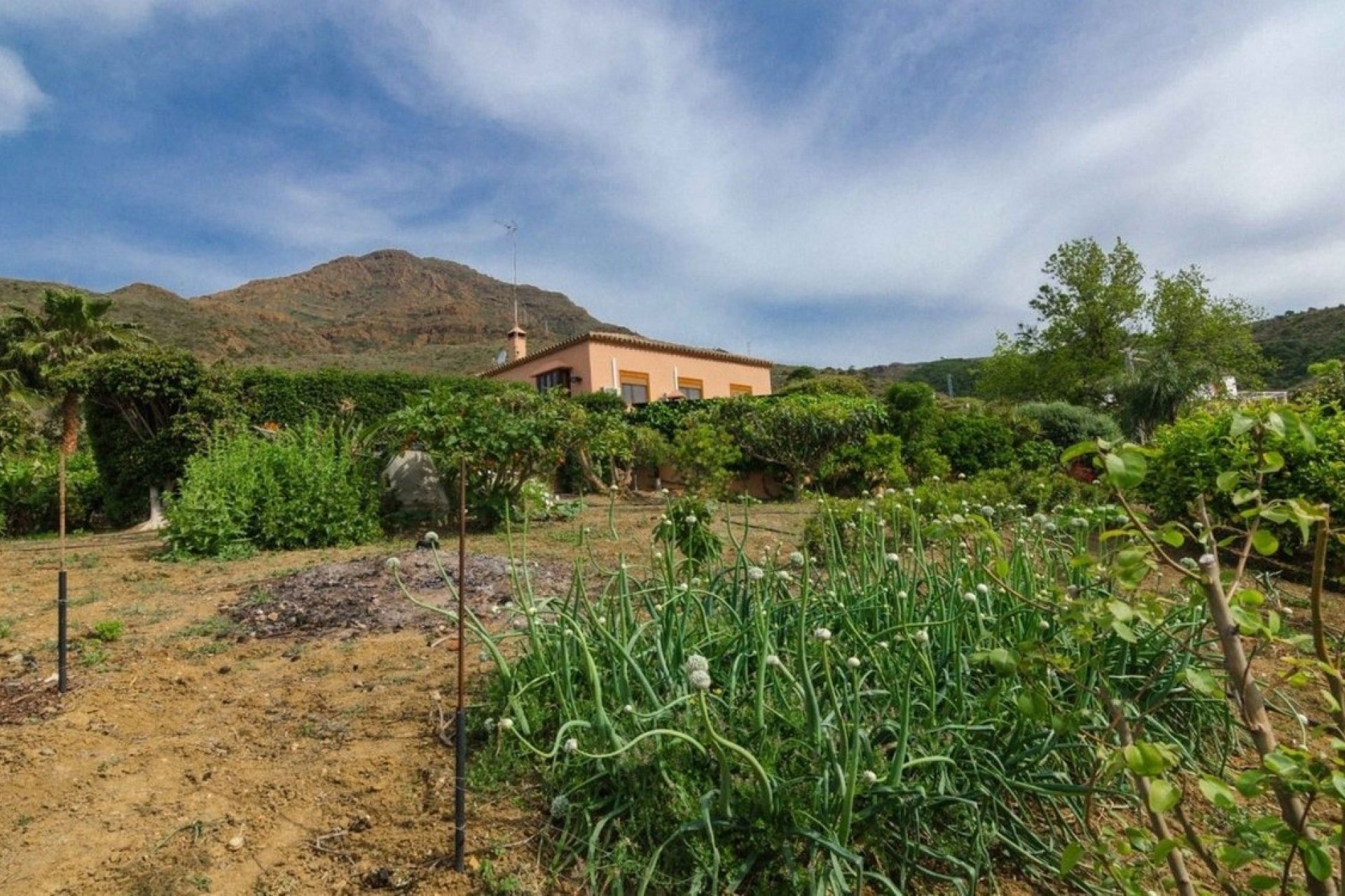 Resale - Country house - Estepona - Estepona Centro
