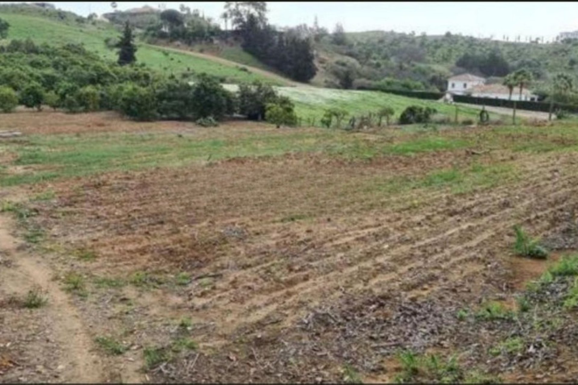 Resale - Country house - Mijas - Campo Mijas