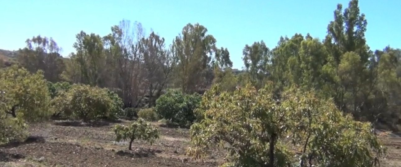 Resale - Country house - Mijas - Entrerrios