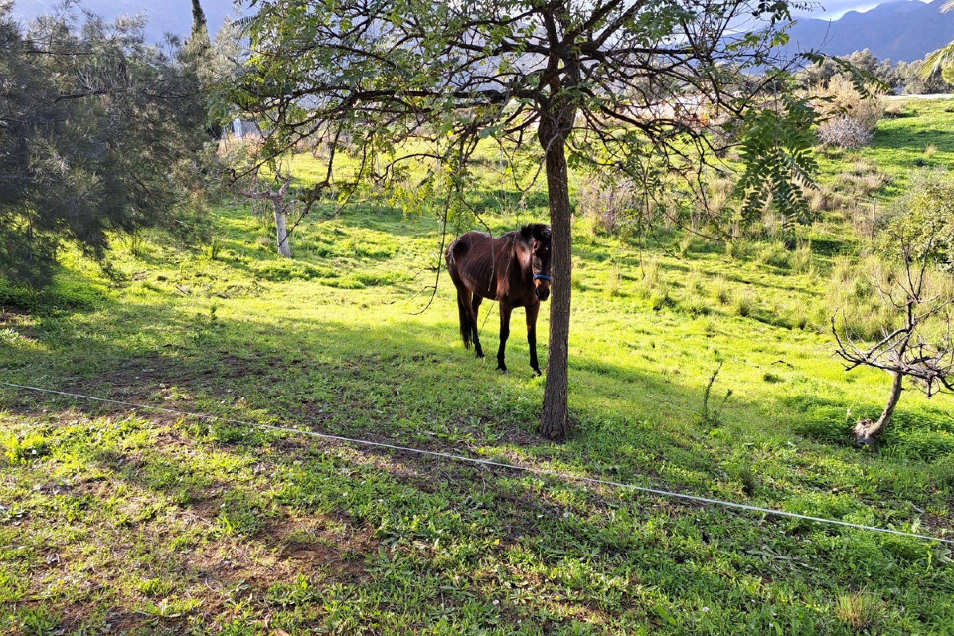 Resale - Country house - Mijas - Entrerrios
