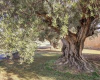 Resale - Country house - Teulada - Moraira